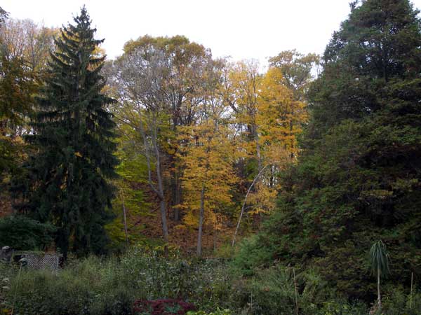 Niagara Falls in Autumn 2007 20